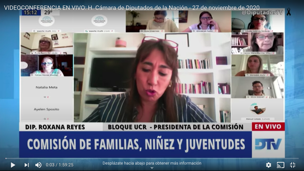 Diputados recibió a especialistas en niñez y educación