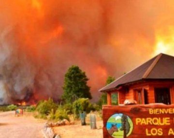 Ofrecen 5 millones de recompensa a cambio de datos sobre los autores del desastre ambiental