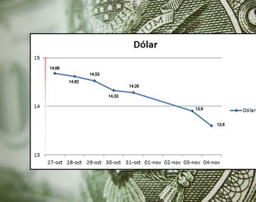 ¿Compraste dólares las últimas semanas en el mercado ilegal? Mirá como te fue