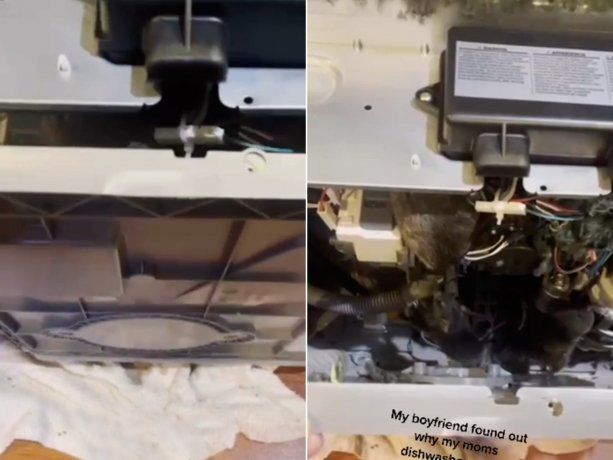 No le funcionaba el lavavajillas y se llevó una desagradable sorpresa: Nunca quise vomitar como ahora