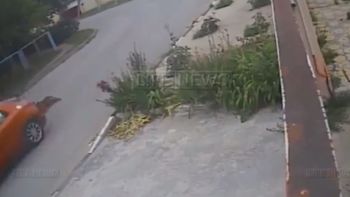 ato un perro a su vehiculo y lo arrastro por la calle ato un perro a su vehiculo y lo arrastro por la calle