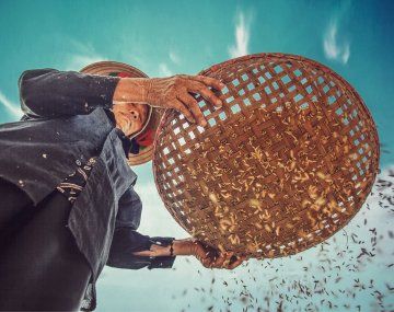 Alberto participa de una cumbre de la ONU sobre alimentos