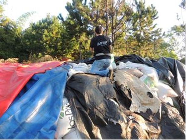 Acusan a cerealeras de blanquear granos con empresas fantasmas