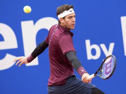 volantazo de del potro: se bajo de roland garros y se subio a la davis volantazo de del potro: se bajo de roland garros y se subio a la davis