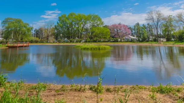 El lugar para ver el atardecer cerca del río y disfrutar de la naturaleza.