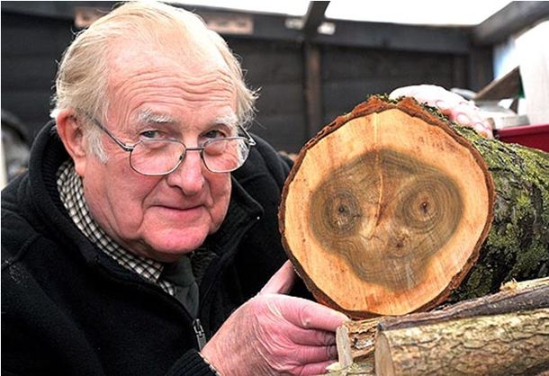 E tree