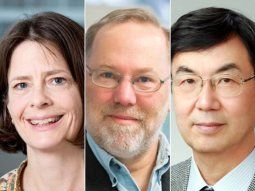 otorgan el nobel de medicina a tres investigadores de la ciencia del sistema inmune otorgan el nobel de medicina a tres investigadores de la ciencia del sistema inmune
