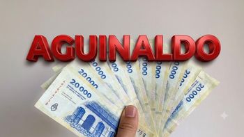 El Gobierno homologó la Ley 27.073 y determinó hasta cuándo se puede cobrar el aguinaldo El Gobierno homologó la Ley 27.073 y determinó hasta cuándo se puede cobrar el aguinaldo