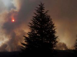 Foto gentileza: Twitter @marcelocandini. Foto gentileza: Twitter @marcelocandini.