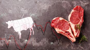 corte por corte, ¿cuanto aumento la carne que comen los argentinos? corte por corte, ¿cuanto aumento la carne que comen los argentinos?