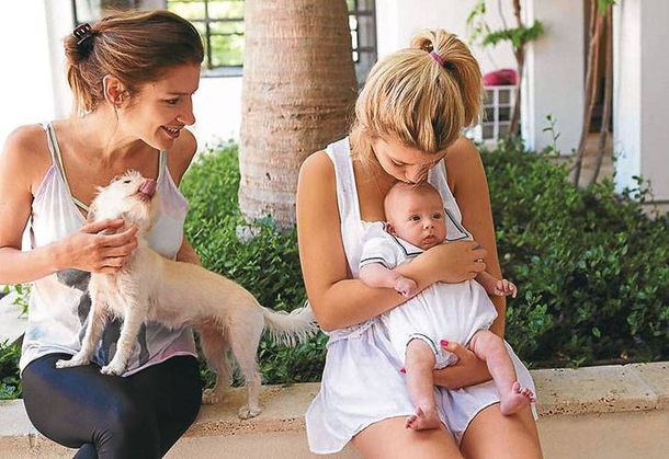 Se agranda la familia de Los Simpson con un integrante argentino