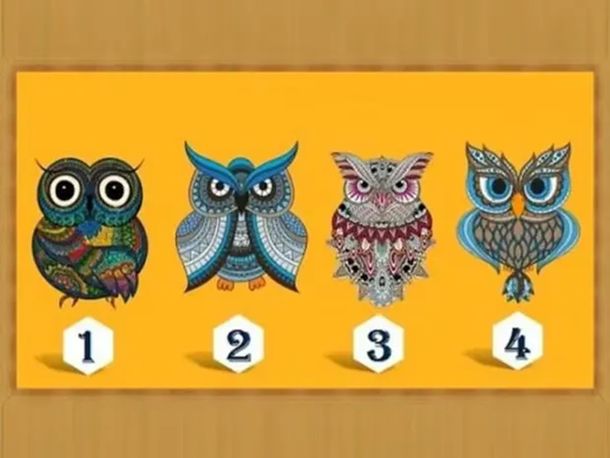 Test viral: el búho que elijas revelará secretos sobre vos