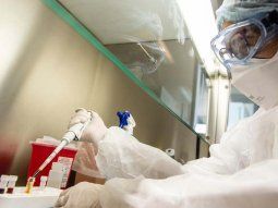 Perú: buscan identificar si existe una cepa andina del nuevo coronavirus