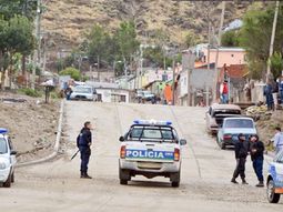 conmocion en comodoro por la aparicion de 24 perros envenenados conmocion en comodoro por la aparicion de 24 perros envenenados