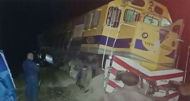 El Tren Patagónico impactó contra un toro que se cruzó en la vía y descarriló