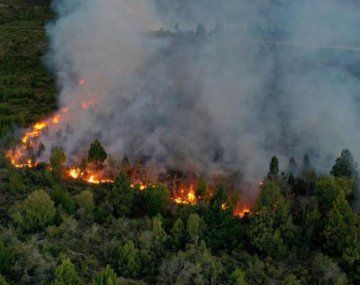 Bariloche: el incendio en el Parque Nacional Nahuel Huapi arrasó más de 3.500 hectáreas