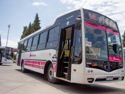 paro de colectivos hoy miercoles 11 de marzo: donde es la medida de fuerza