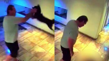 imagenes sensibles: un hombre golpeo brutalmente a su perro en palermo y lo detuvieron imagenes sensibles: un hombre golpeo brutalmente a su perro en palermo y lo detuvieron