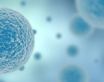 Un Atlas de las células humanas