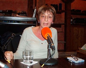 El Senado inició la audiencia pública por el pliego de Gils Carbó