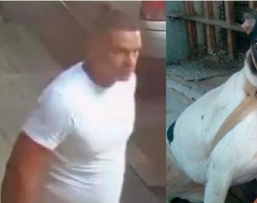 Cómo está la perra abandonada atada a una reja en Caballito