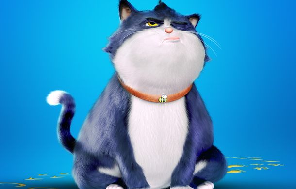 Un gato con suerte. Foto: (BF)