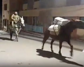 Video: la travesía para transportar urnas en mula por el norte