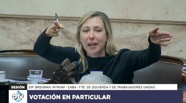 Ley Bases: el tenso cruce entre Myriam Bregman y Martín Menem en plena sesión