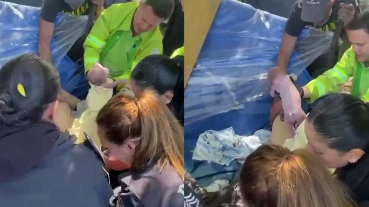 Conmoción en Mar del Plata: policías asistieron a una mujer a dar a luz en plena calle