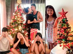 Mirá los árboles de Navidad de los famosos