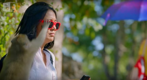 Estos monos roban teléfonos, anteojos y zapatillas a cambio de comida