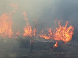 Así están las llamas en varios lugares de Chile Así están las llamas en varios lugares de Chile