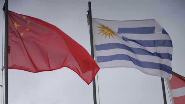 El gobierno concretó el primer embarque desde Uruguay a China de carne equina congelada sin hueso.