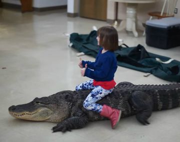 Una nena anduvo en lagarto
