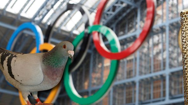 Sin Juegos: la Argentina no competirá en las olimpíadas de palomas