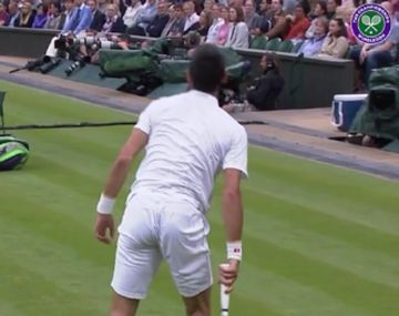 Djokovic derrocha magia hasta cuando pierde un punto: mirá el video