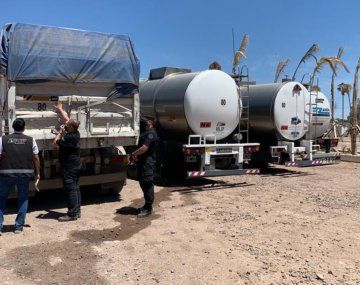 Querían exportar de manera fraudulenta más de 900 toneladas de maíz y aceites: los descubrió la AFIP