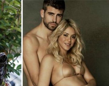 Shakira: Creo que estoy embarazada de gemelos