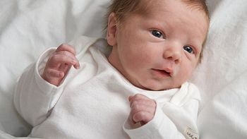 Foto ilustrativa. Foto ilustrativa.