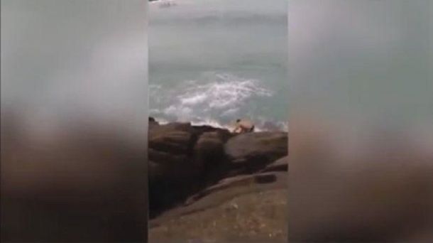 Impresionante: una ola se tragó a un bañista en Brasil