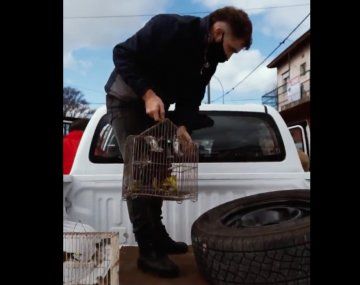 Mar del Plata: descubren un negocio que vendía ilegalmente aves exóticas