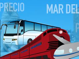 Tren, micro, auto o avión: ¿cómo conviene ir a Mar del Plata?