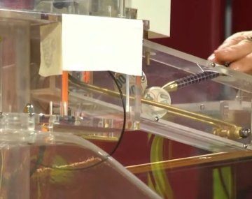 Insólito momento en el Brinco.