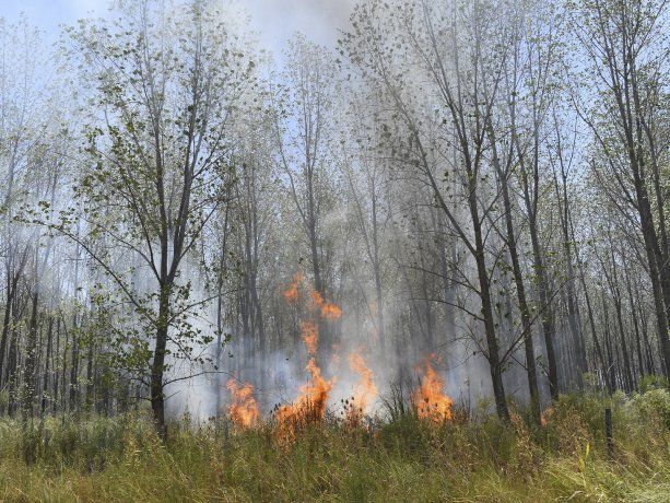 Incendio En Ezeiza: Cerraron El Acceso A La Autopista Perón