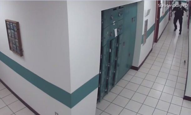 Un policía salió corriendo al ver un ratón