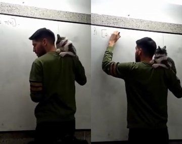 Rosario: un profesor da clases con un gato sobre sus hombros