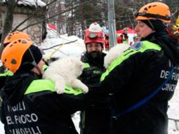 Los bomberos rescatando a los cachorros Los bomberos rescatando a los cachorros