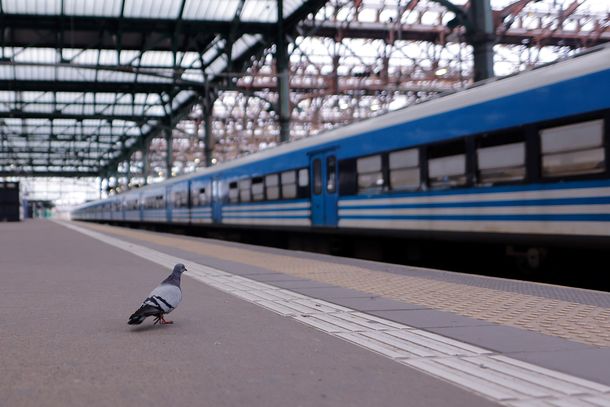 Paro general Paro general