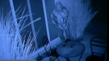 para el entorno de massa, el robo tiene una carga politica para el entorno de massa, el robo tiene una carga politica