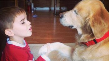 un perro ciego, el mejor de los terapeutas un perro ciego, el mejor de los terapeutas